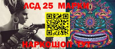 амф Дубна